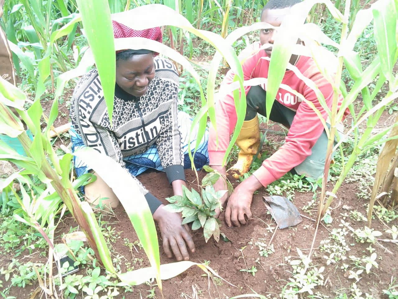 Sustainable Agriculture